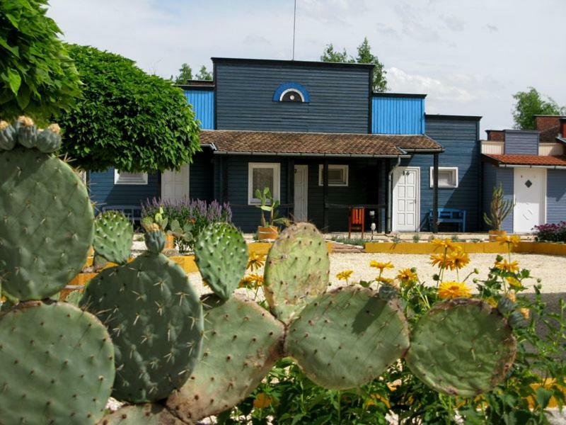 Convoy Panzio Bed & Breakfast Szajol Dış mekan fotoğraf
