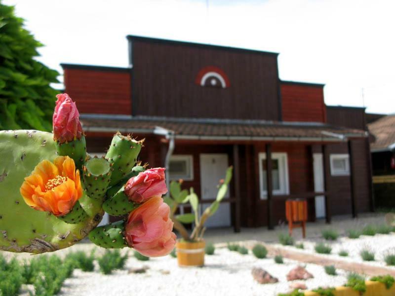 Convoy Panzio Bed & Breakfast Szajol Dış mekan fotoğraf